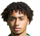 https://img.funkyfrizz.com/img/football/player/347a6d58ae7ec0425a4d42bc9215c411.png